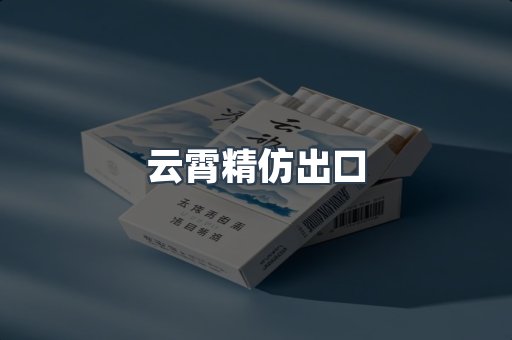 云霄精仿出口